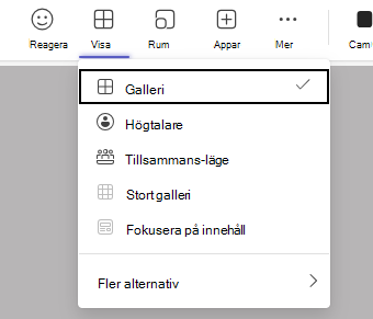 Skärmbild av vyn.