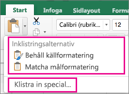 Menyn Klistra in, med visning av alternativ och Klistra in special