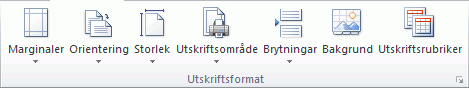 Skärmbild som visar gruppen Utskriftsformat.