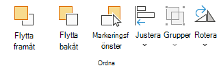 Skärmbild som visar gruppen Ordna.