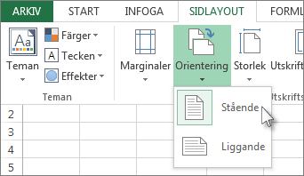Klicka på Orientering på fliken Start.