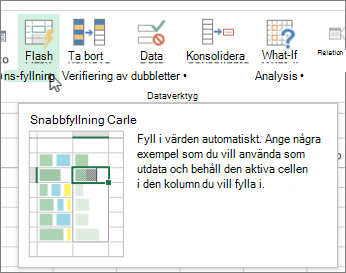 Skärmbild som visar alternativet Snabbfyllning i menyfliksområdet.