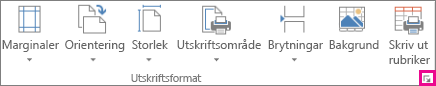 Dialogruteikonen i gruppen Utskriftsformat