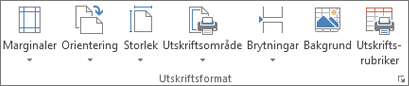 Utskriftsformat i gruppen Utskriftsformat