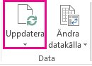 Knappen uppdatera på fliken Analysera