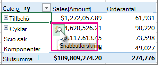 Pivottabell med knappen Snabbutforskning markerad