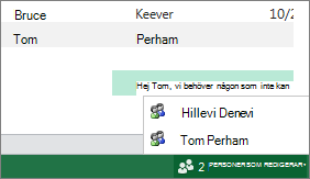 Flera författare i Excel Online