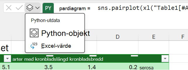 Använd Python-utdatamenyn bredvid formelfältet för att ändra utdatatypen.