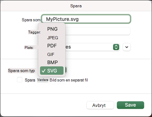 Dialogrutan Spara som i Excel 2021 för Mac med alternativet SVG markerat