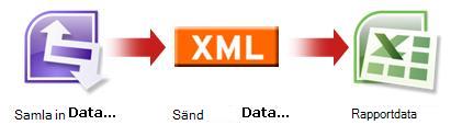 InfoPath-formulärdata flödar genom XML till en Excel-rapport