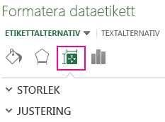 Formatera dataetiketter Ikon & egenskaper och fönster