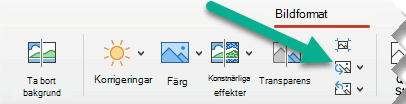 Klicka på Ändra bild på fliken Bildformat