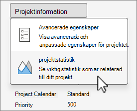 Alternativ för Projektinformation