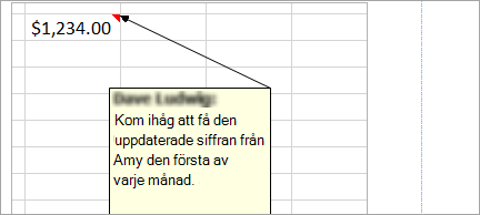 Lägga till anteckningar i kalkylbladet