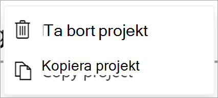 Visar Project-filer