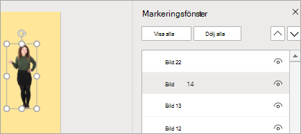 Visar markeringsfönstret