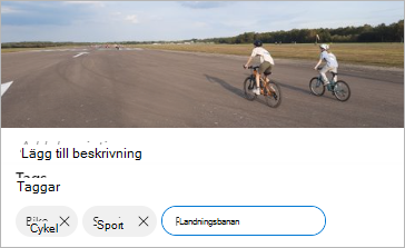 Redigera taggar i OneDrive.
