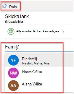 OneDrive-delningsfönster