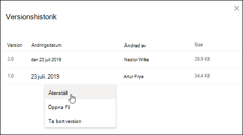 Fönstret Versionshistorik