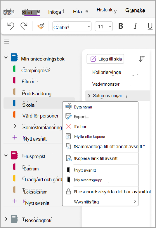 skärmbild av grundläggande uppgifter nine.png