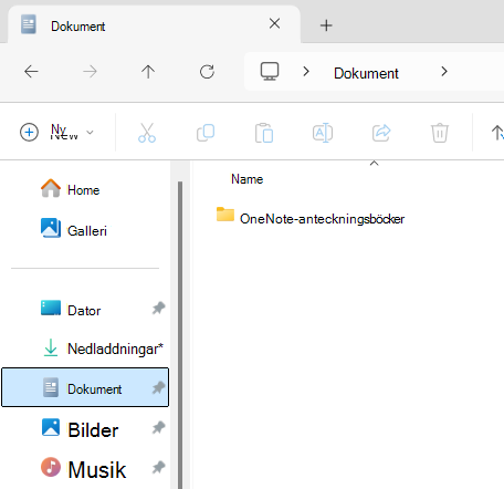 Dokumentmapp med undermappen OneNote-anteckningsbok.