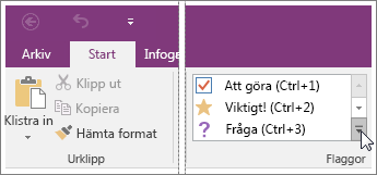 Skärmbild av listan med flaggor i OneNote 2016.