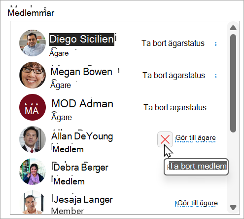 I rutan Medlemmar kan du ta bort ägarstatus, göra en medlem till ägare eller ta bort en medlem.