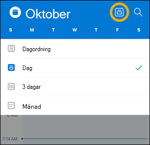 Knappalternativ för iOS Calendar visa