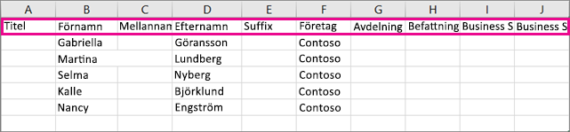 Så här ser exempelfilen .csv ut i Excel.