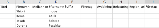 Exempel på en Outlook CSV-fil öppnad i Excel