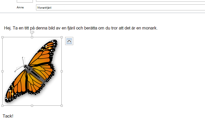 Bilden finns nu i meddelandet.