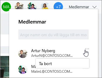 Ta bort medlemmar från en plan
