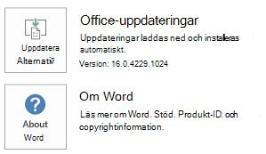 När Office har installerats med hjälp av Klicka-och-kör-tekniken ser program- och uppdateringsinformation ut så här.