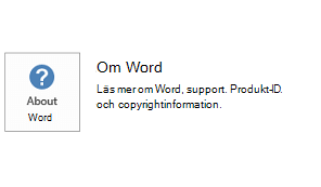 När Office har installerats med Microsoft Installer-teknik ser applikations- och uppdateringsinformationen ut så här.