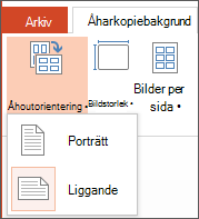 Skärmbild som visar orienteringsmenyn för åhörarkopior