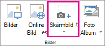 Knappen Stor skärmbild