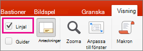 Kryssrutan Linjal på fliken Visa.