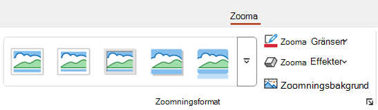 Fliken Zooma i menyfliksområdet i PowerPoint innehåller formateringsalternativ som kantlinje och bakgrund.