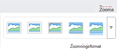 Fliken Zooma i menyfliksområdet i PowerPoint.