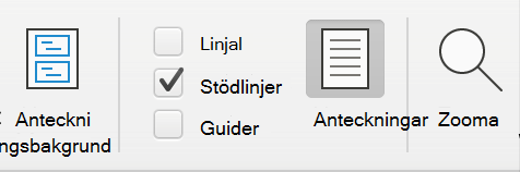 Skärmbild av stödlinjer som är markerade i PowerPoint