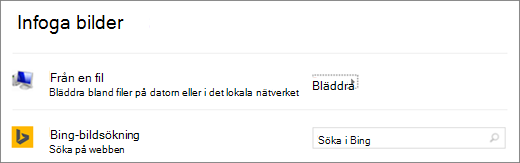 Visar dialogrutan Infoga bild i PowerPoint.