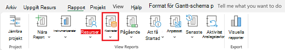 Knappen Kostnader på fliken Rapport