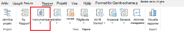 Knappen Instrumentpaneler på fliken Rapport