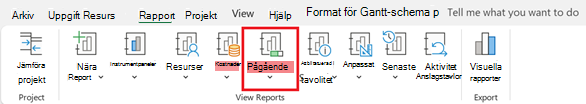 Knappen Pågående på fliken Rapport