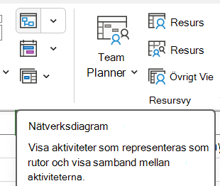 Bild av knappen Nätverksdiagram på fliken Visa.