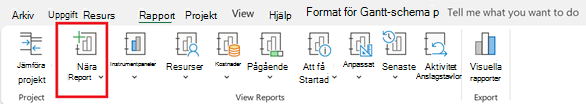 Knappen Ny rapport på fliken Rapport