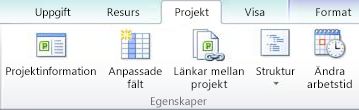 Egenskapsgrupp på fliken Projekt