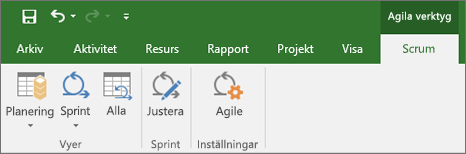 Skärmbild av menyfliksområdet i Project som visar fliken Agile-verktyg