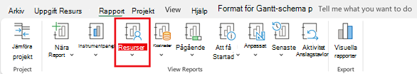 Knappen Resurser på fliken Rapport