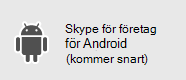 Skype för företag –